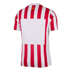 Atletico Madrid Home Custom Player Version Soccer Jersey 2025/26