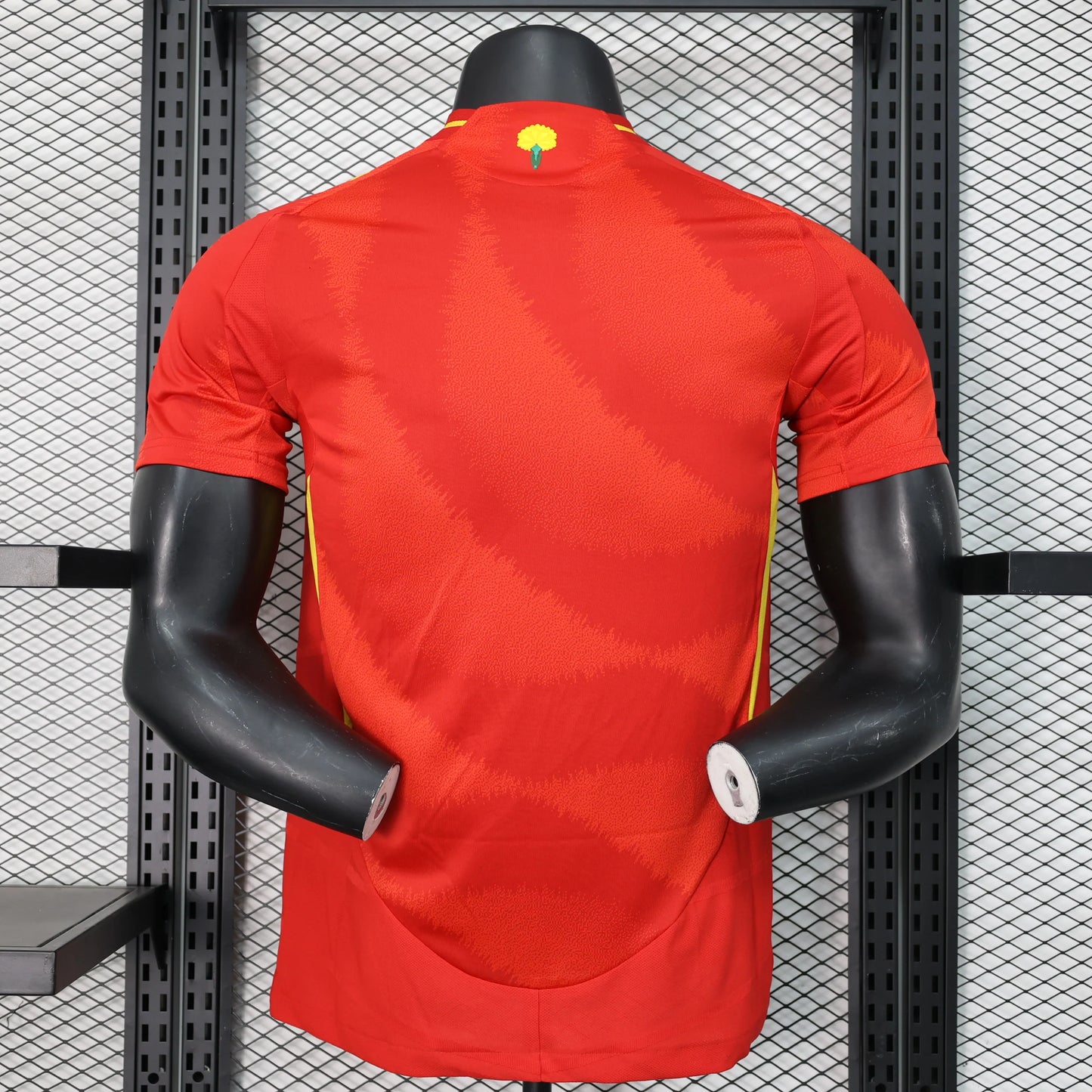 Spain Home PLAYER VERSION