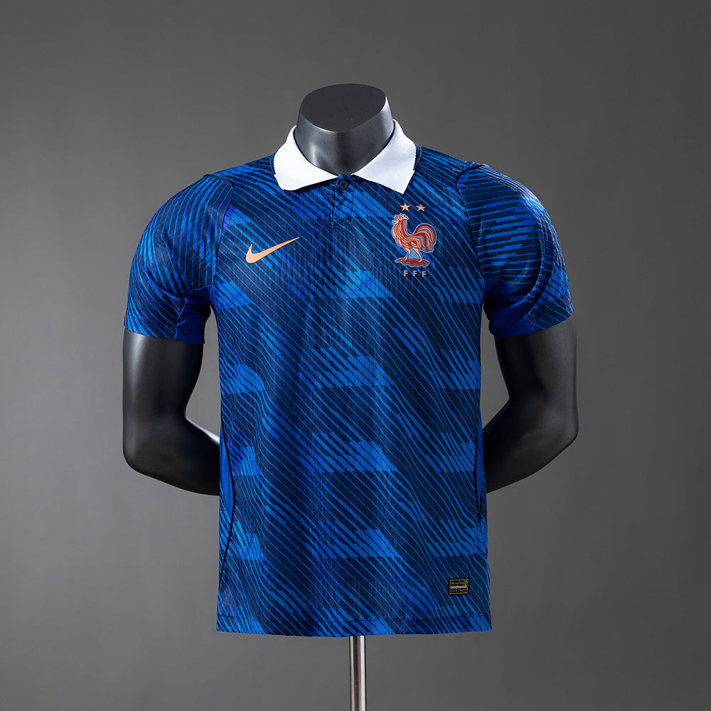 France Home 2026 (FAST DELIVERY)
