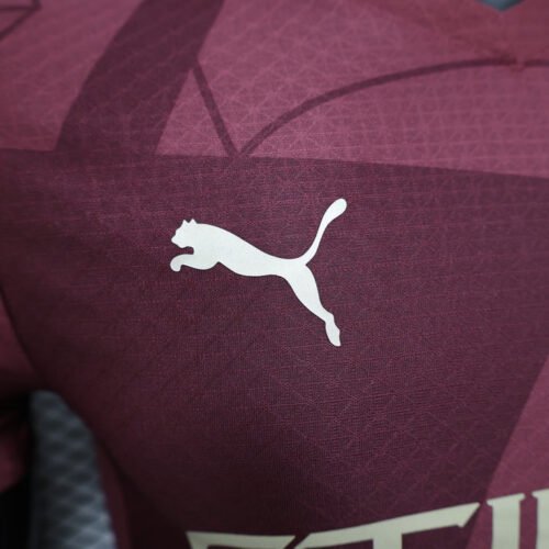 Manchester City Third 2024-25 - Image 4