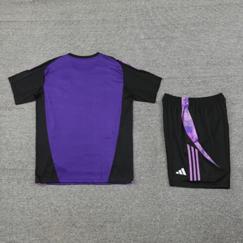 Germany Training Set 2025/26 - Image 2